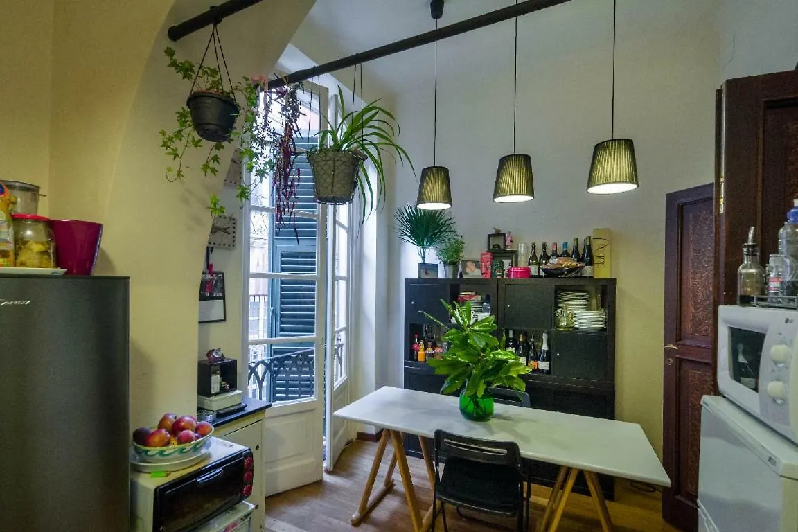 F&M Home Downtown Janov